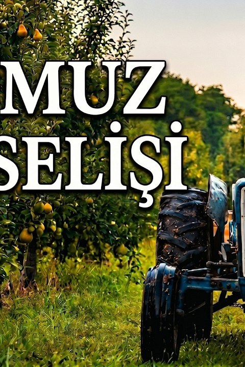 Temmuz Yükselişi posteri