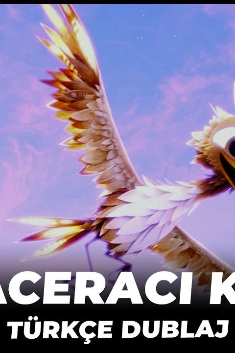 Maceracı Kuş posteri